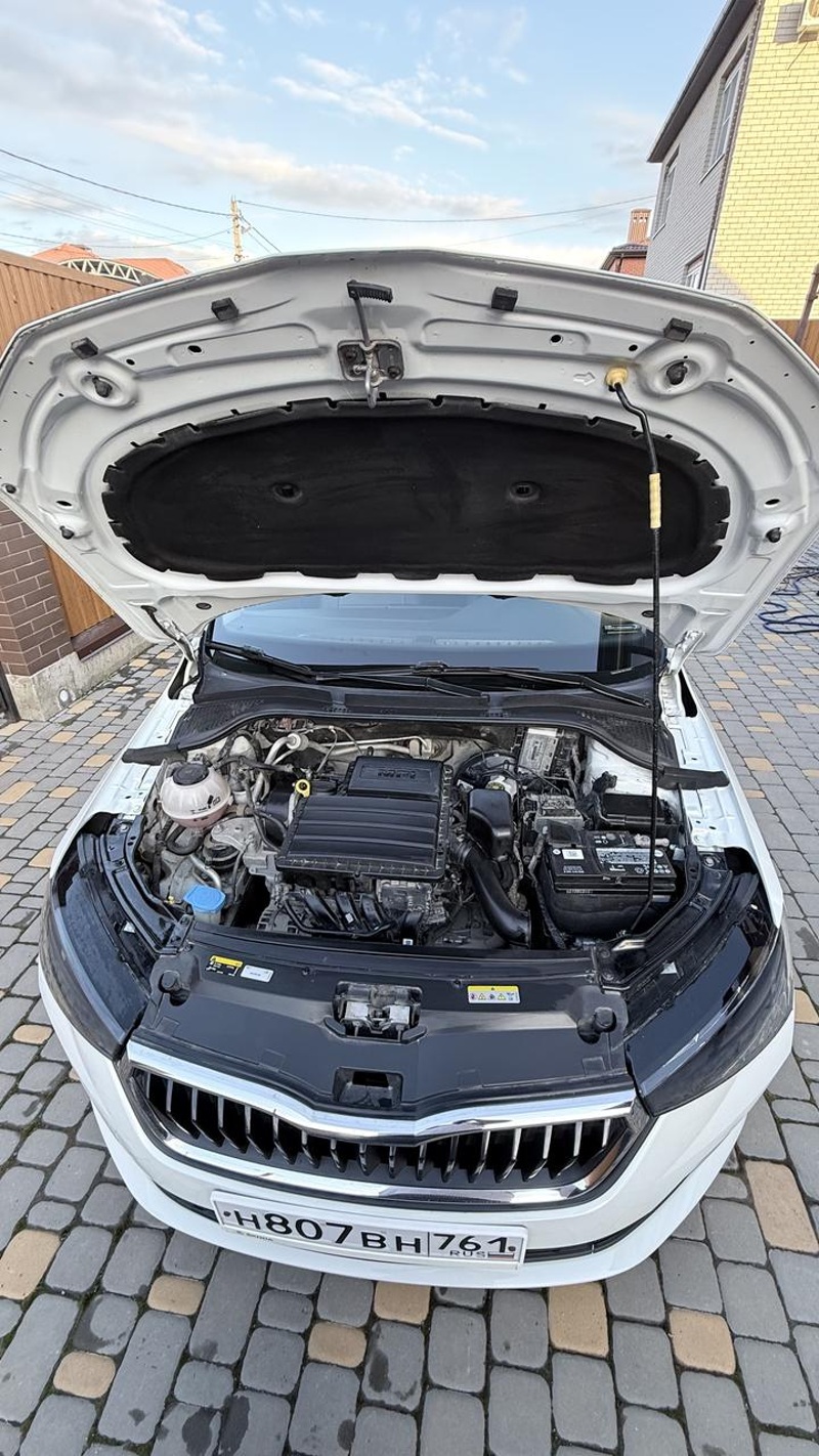 Skoda, Rapid, 2021