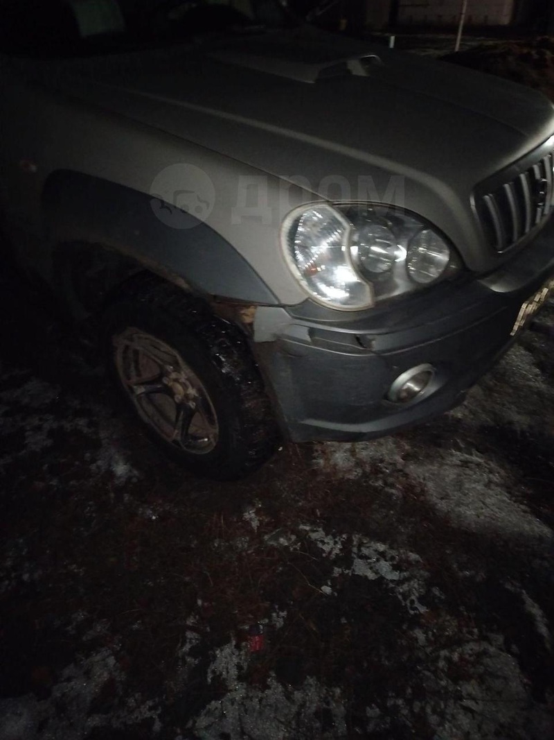 Hyundai, Terracan, 2004