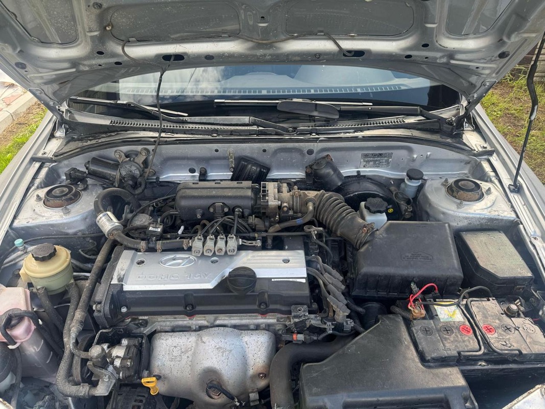 Hyundai, Accent, 2008