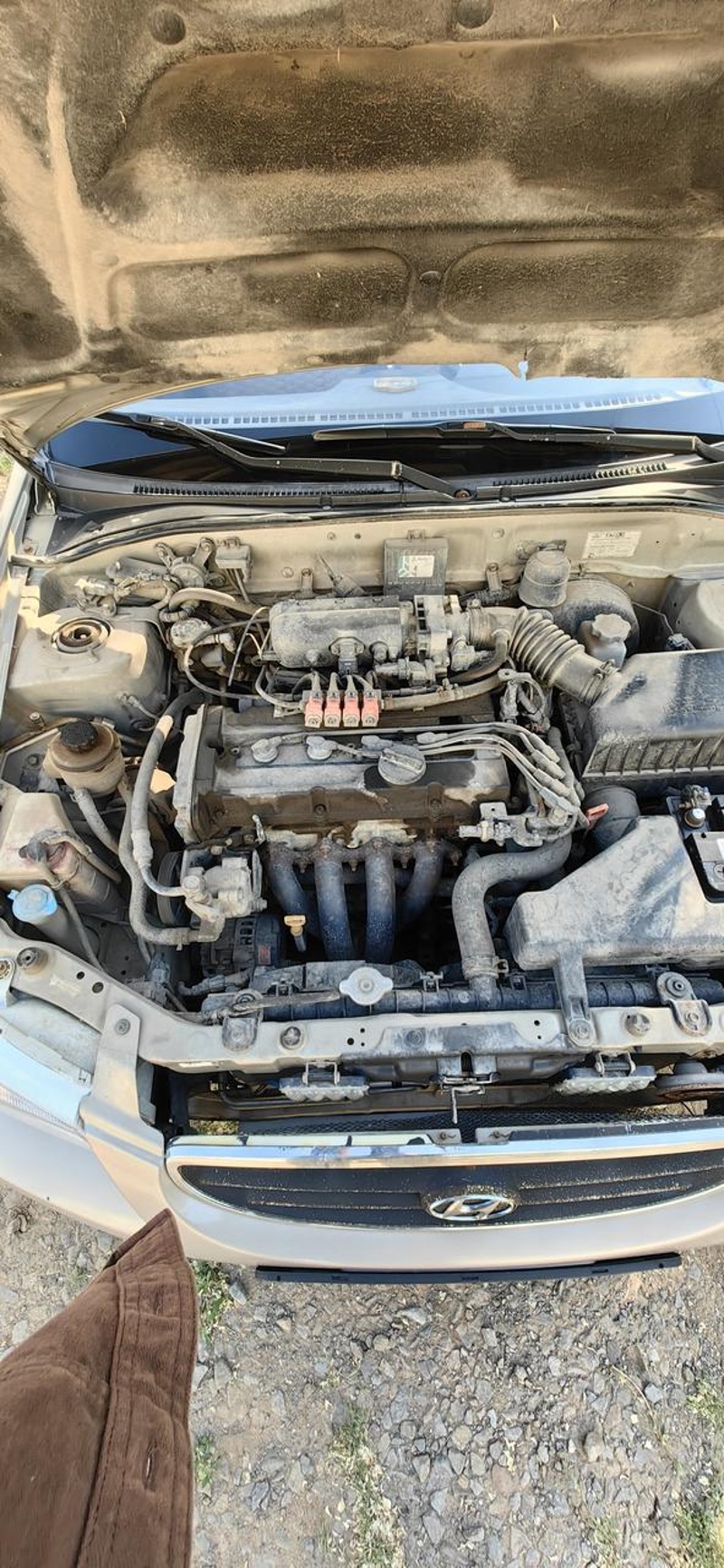 Hyundai, Accent, 2008