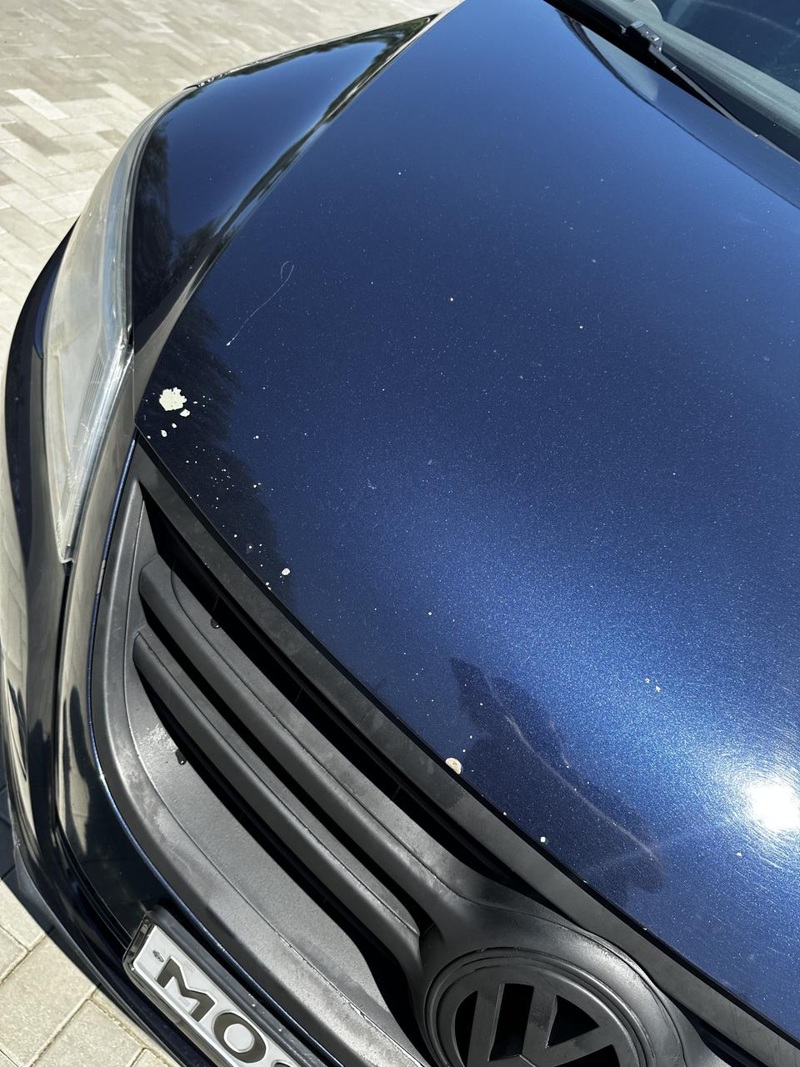Volkswagen, Tiguan, 2011