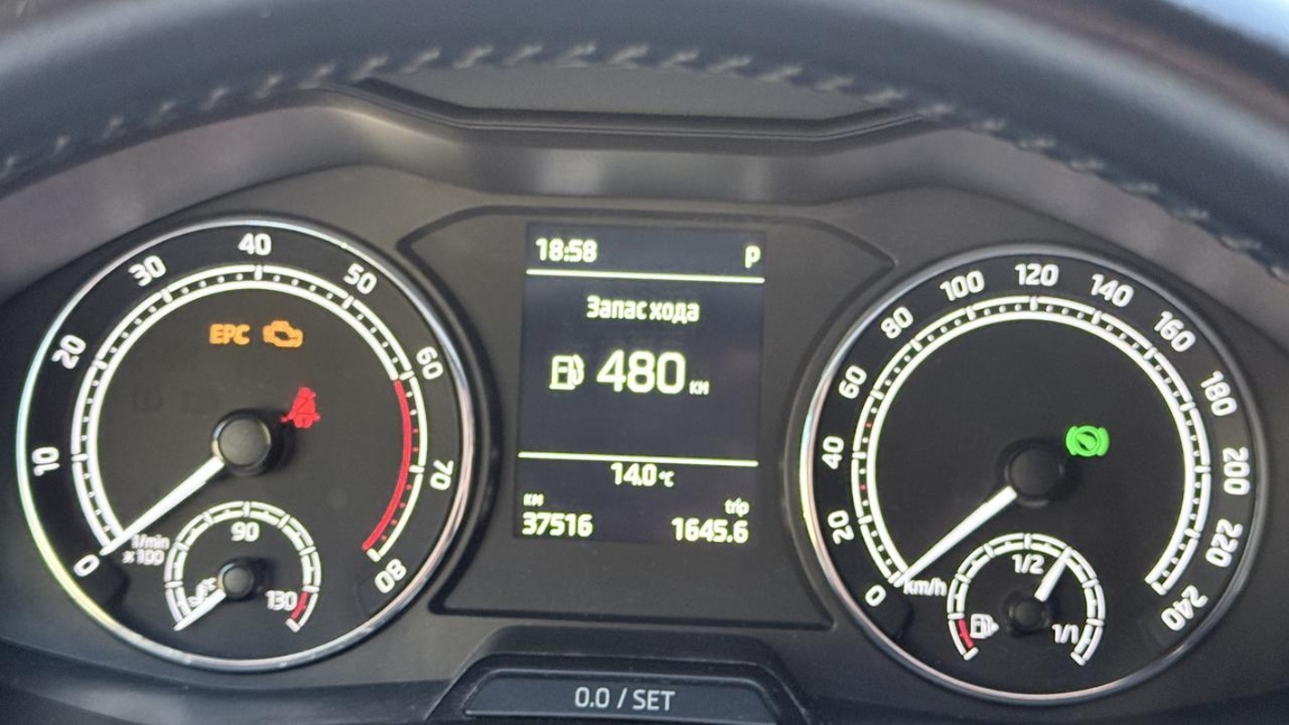 Skoda, Rapid, 2021