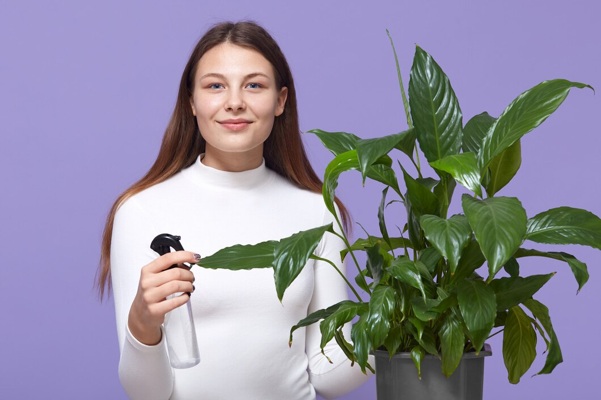 happy-caucasian-woman-housewife-spraying-houseplant-with-water-sprayer-home_176532-10592.jpg