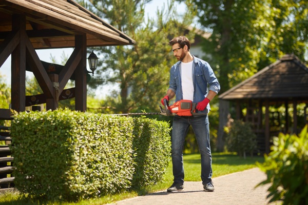 caucasian-male-gardener-shaping-overgrown-boxwood-bush-by-hedge-trimmer-garden-front-view.jpg