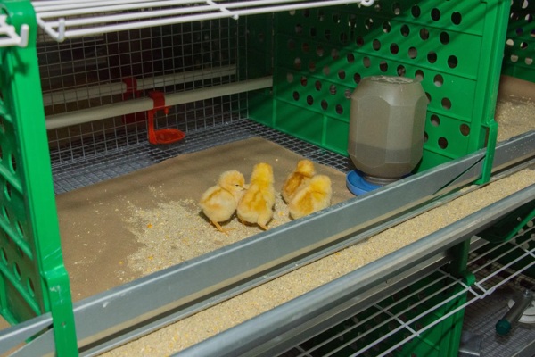 для вакнсии слесарь оператор.jpg