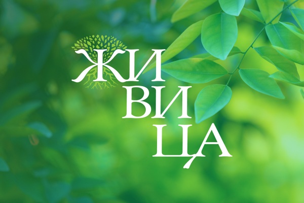 Изображение WhatsApp 2025-04-16 в 11.21.06_cbec4898.jpg
