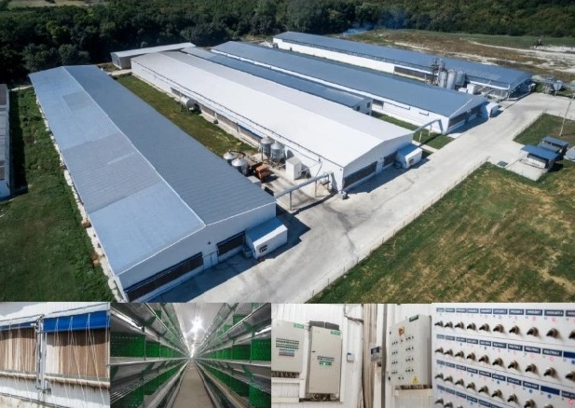 Рабочие, ООО «Птицефабрика «Новороссийск»