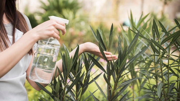 panoramic-view-female-s-hand-spraying-water-fresh-plants-garden_23-2147948217.jpg