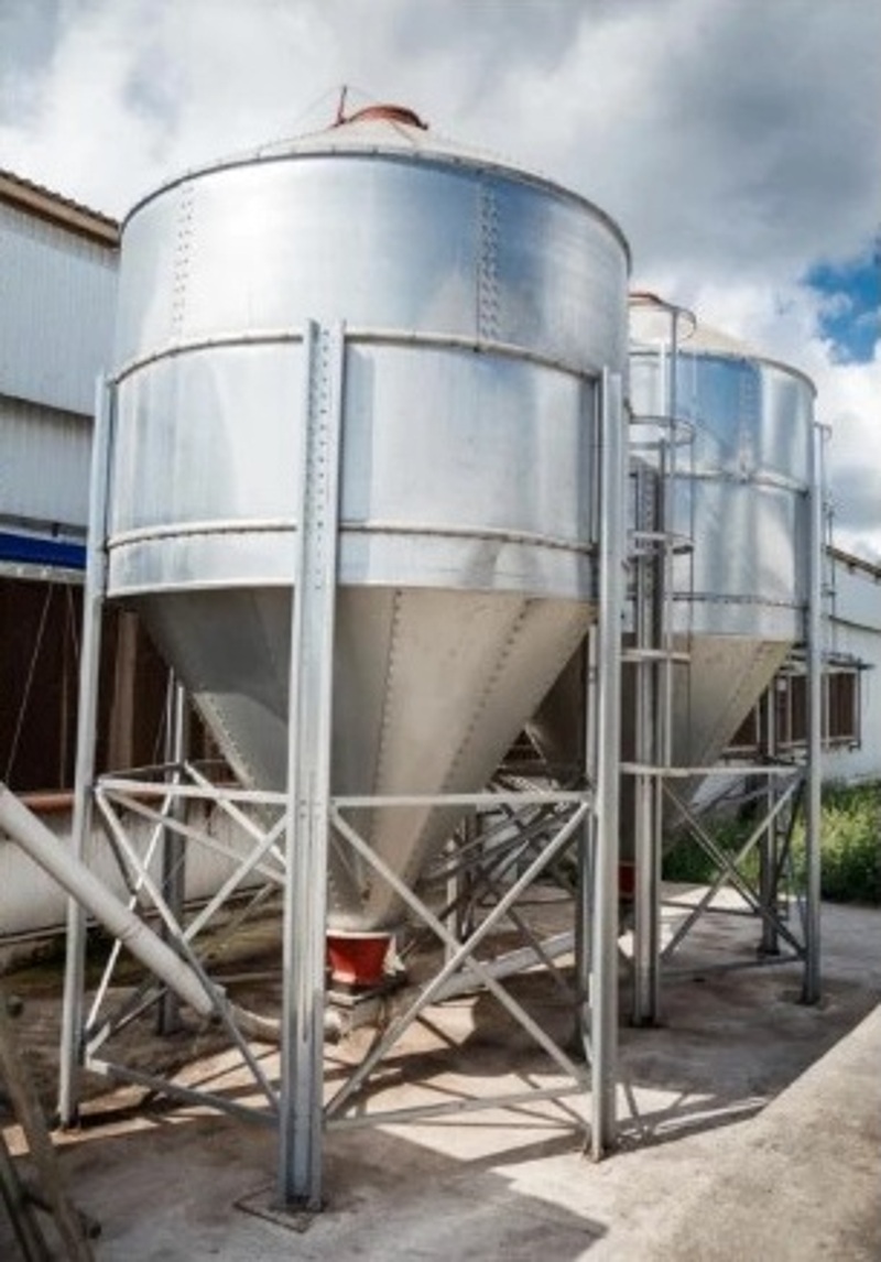 Рабочие, ООО «Птицефабрика «Новороссийск»