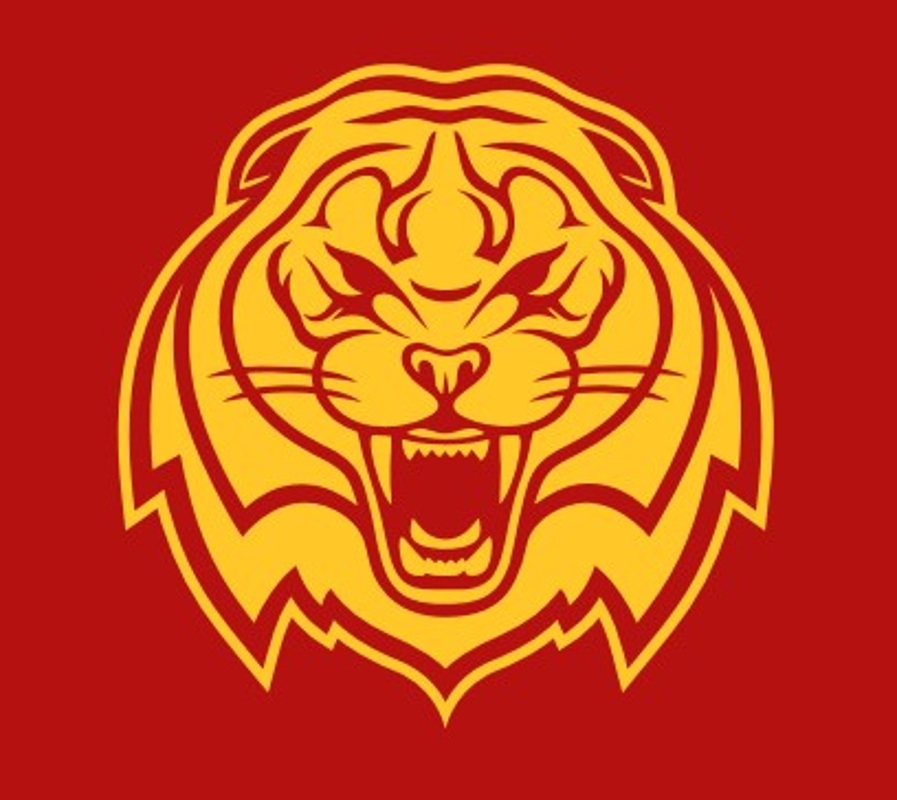 Контент-менеджер, ООО ТАЙГЕР-ГАН