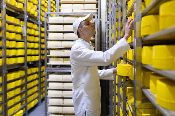 technologist-with-cheese-his-hands-make-inspection-ready-prooduction-department-dairy-factory.jpg