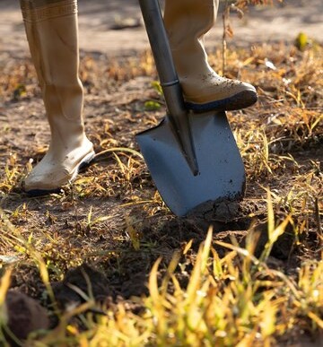 person-planting-tree-countryside_23-2149401219.jpg